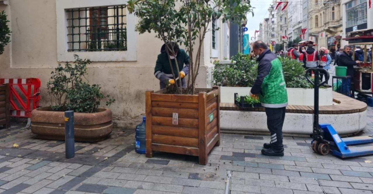 Beyoğlu çiçek açıyor