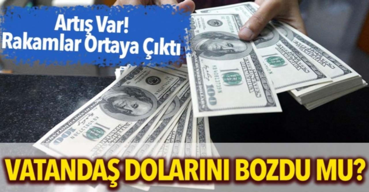 Vatandaş yeni mevduatı duyunca dövizini sattı mı?