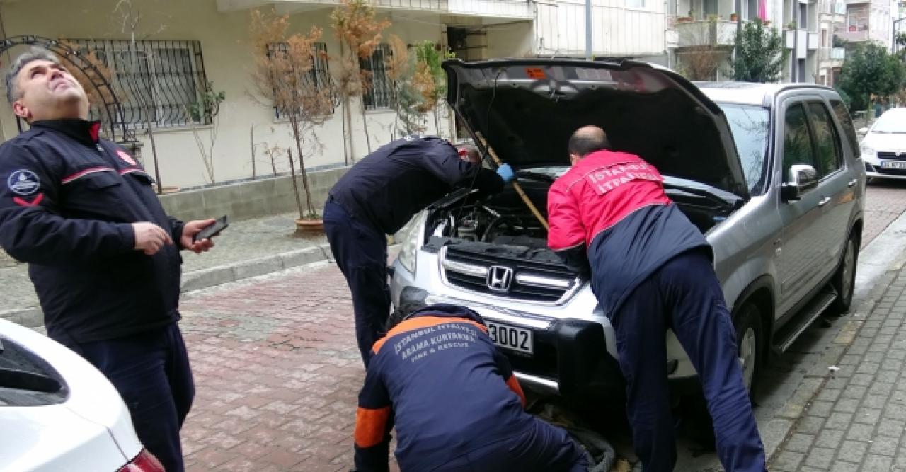 Soğuk havalarda elinizle kaputa vurmadan motoru çalıştırmayın!