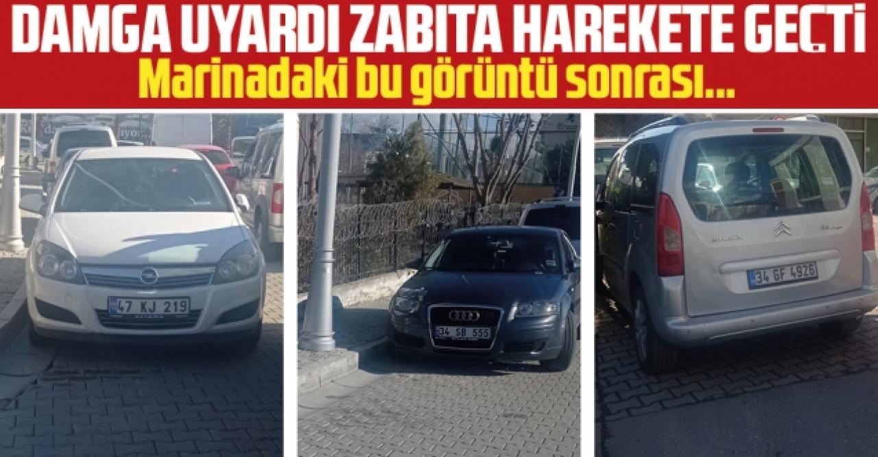 Damga uyardı zabıta harekete geçti