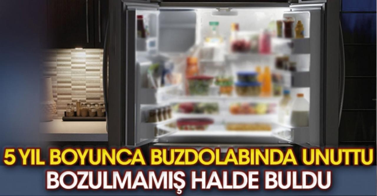 5 yıl boyunca buzdolabında unuttu: Bozulmamış halde buldu