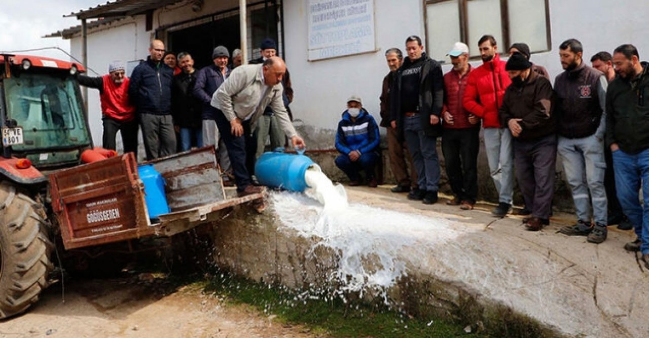 Mandıracılara kızan üreticiler sütleri döktü