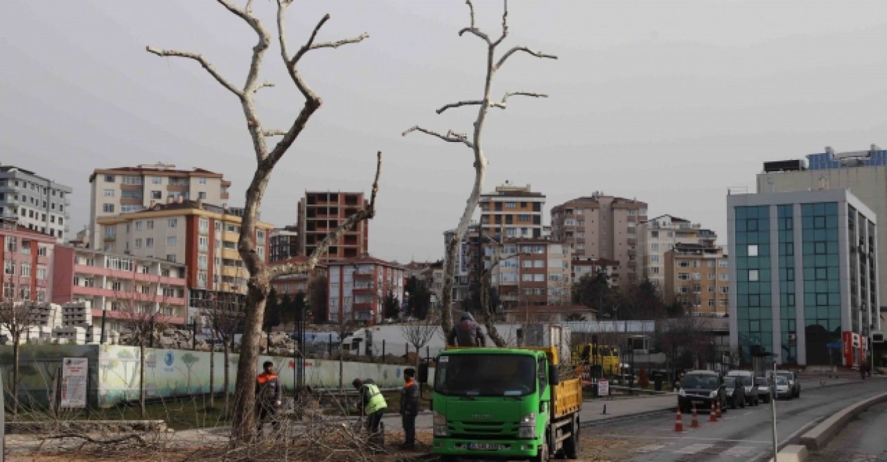 Kar yağışından etkilenen ağaçlara Kartal Belediyesi ekiplerinden anında müdahale