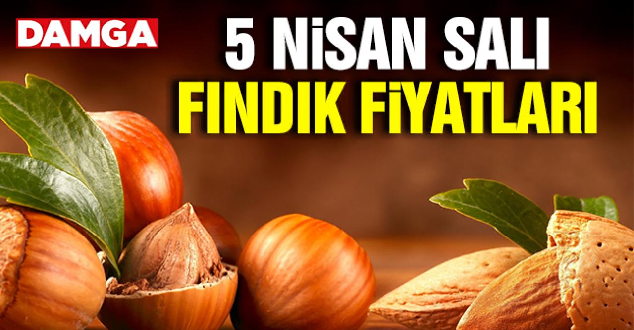 Fındık kaç lira? 5 Nisan 2022 Salı güncel fındık fiyatları