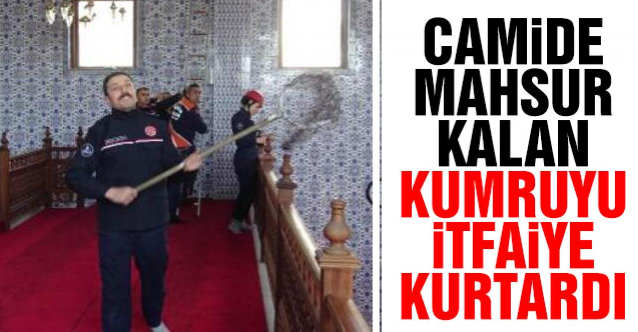 Avcılar'da camide mahsur kalan kumruyu itfaiye kurtardı