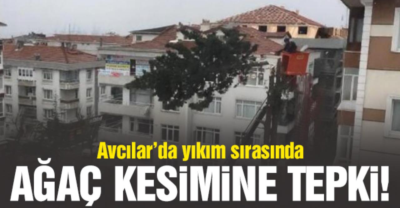 Avcılar'da yıkım sırasında ağaç kesimine tepki