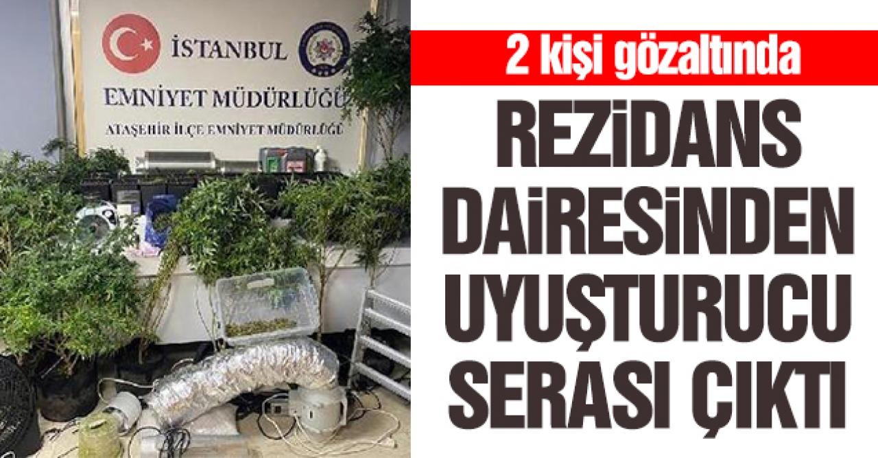 Rezidans dairesinden uyuşturucu serası çıktı