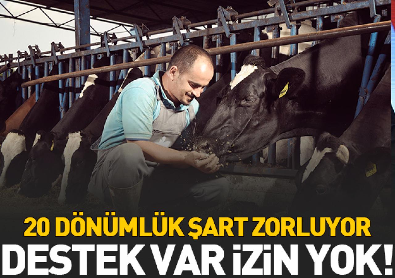 Destek var izin yok!