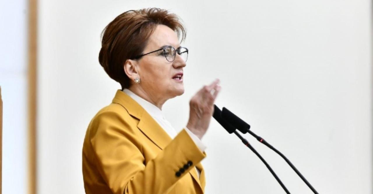 Meral Akşener'den 19 Mayıs mesajı