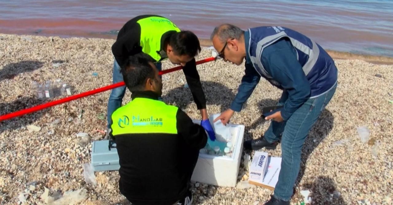 Karadeniz'de turuncunun sırrı çözüldü