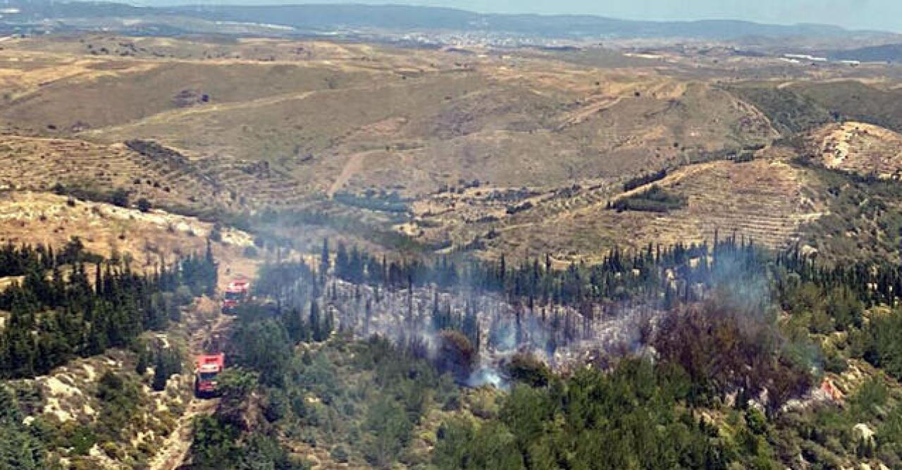 İzmir'de orman yangını! Havadan ve karadan müdahale yapılıyor