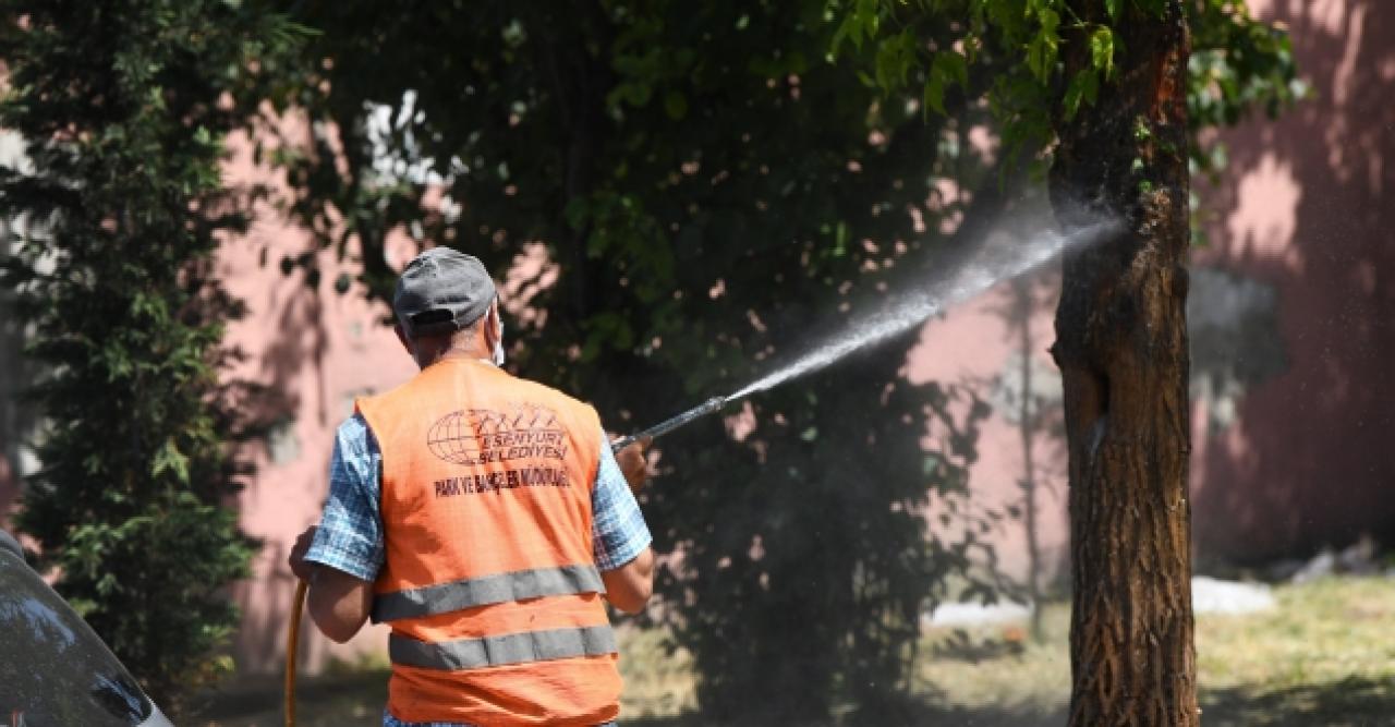 Teke böceğine karşı ilaçlama