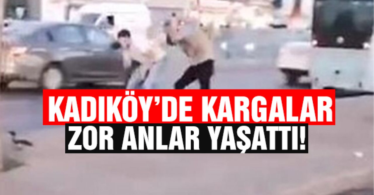 Kadıköy'de kargalar kaldırımdakilere zor anlar yaşattı