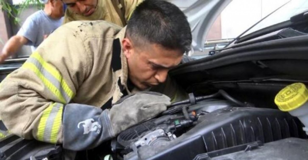 Aracın motoruna giren yılan ve kediyi itfaiye ekipleri çıkardı