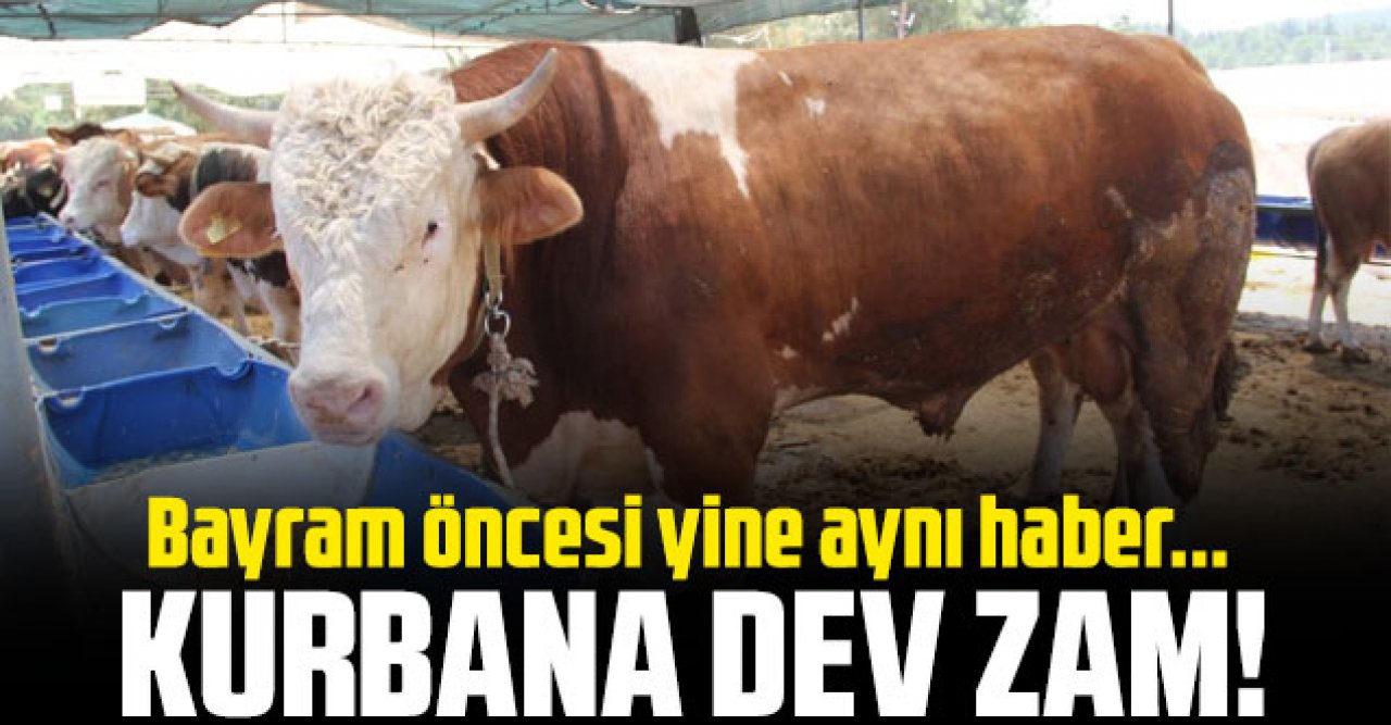 Kurbana dev zam geliyor