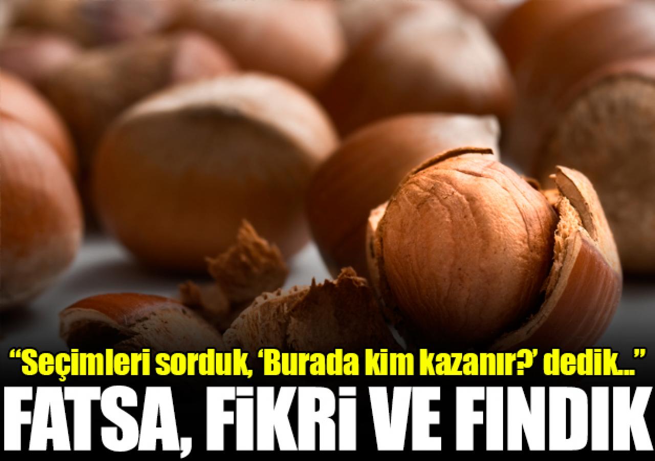 Fatsa, Fikri ve fındık