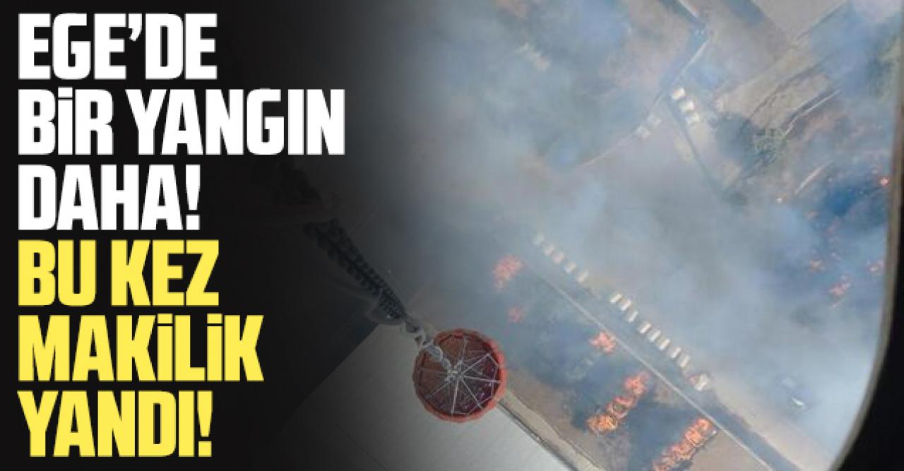 Ege'de bir yangın daha! Bergama'da makilik alan yandı