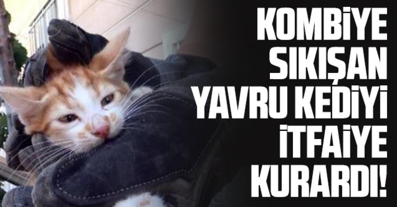 Yavru kedi kombiye sıkıştı, itfaiye ekibi kurtardı