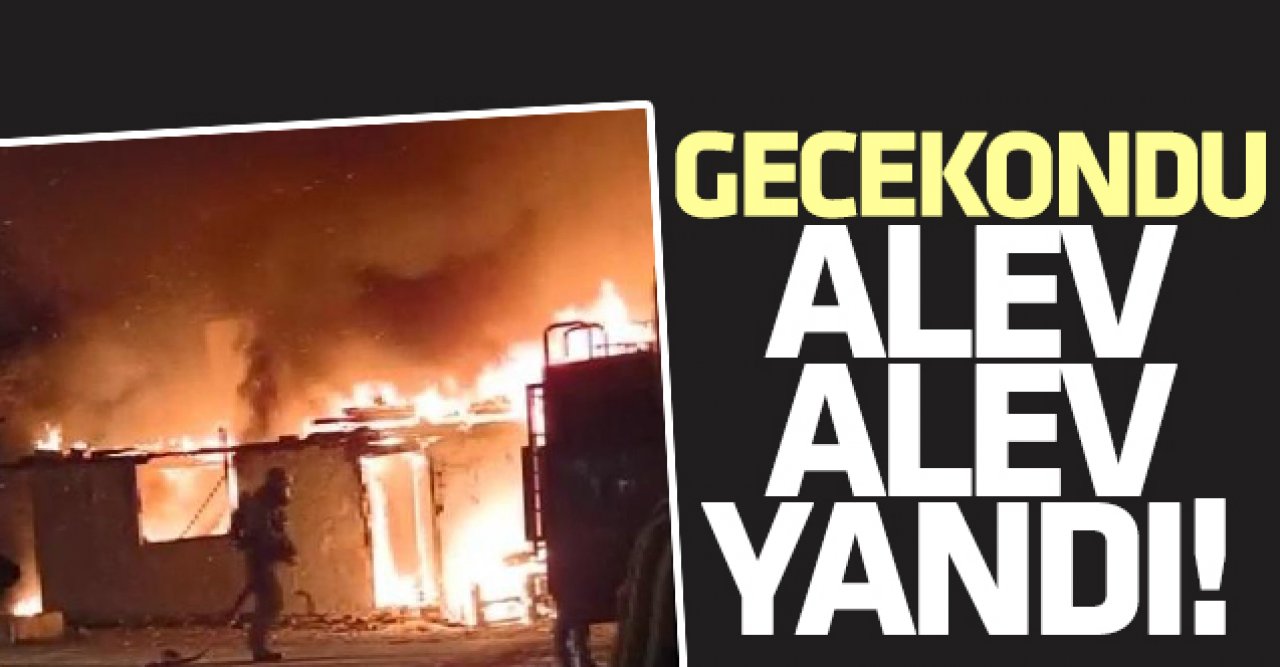 Avcılar'da gecekondu cayır cayır yandı