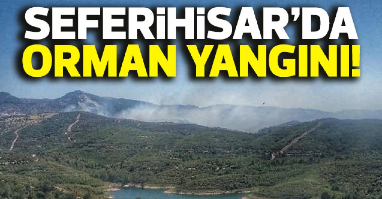 İzmir Seferihisar'da orman yangını çıktı