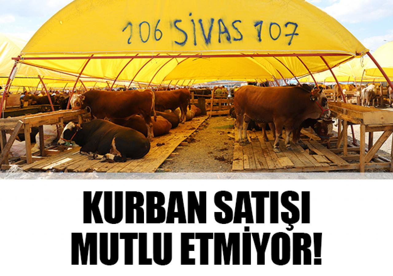 Kurban pazarı mutlu etmiyor