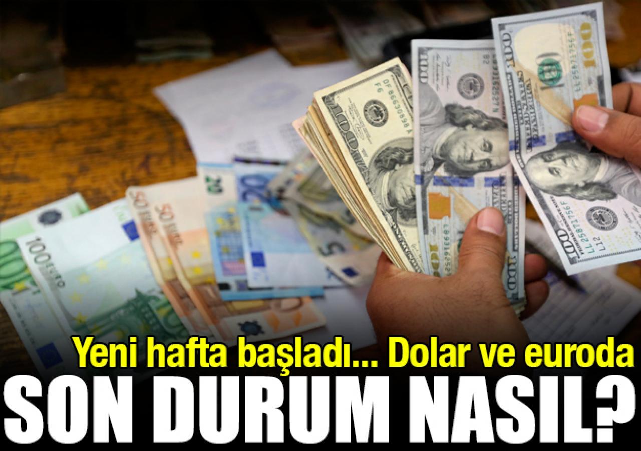 Dolar ve euro kaç lira? 13 Ağustos 2018 Pazartesi fiyatları