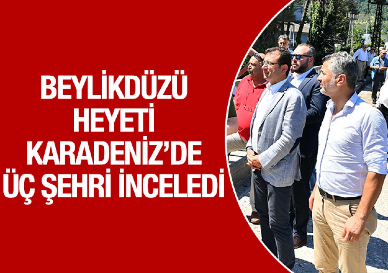 Beylikdüzü heyeti üç şehirdeydi