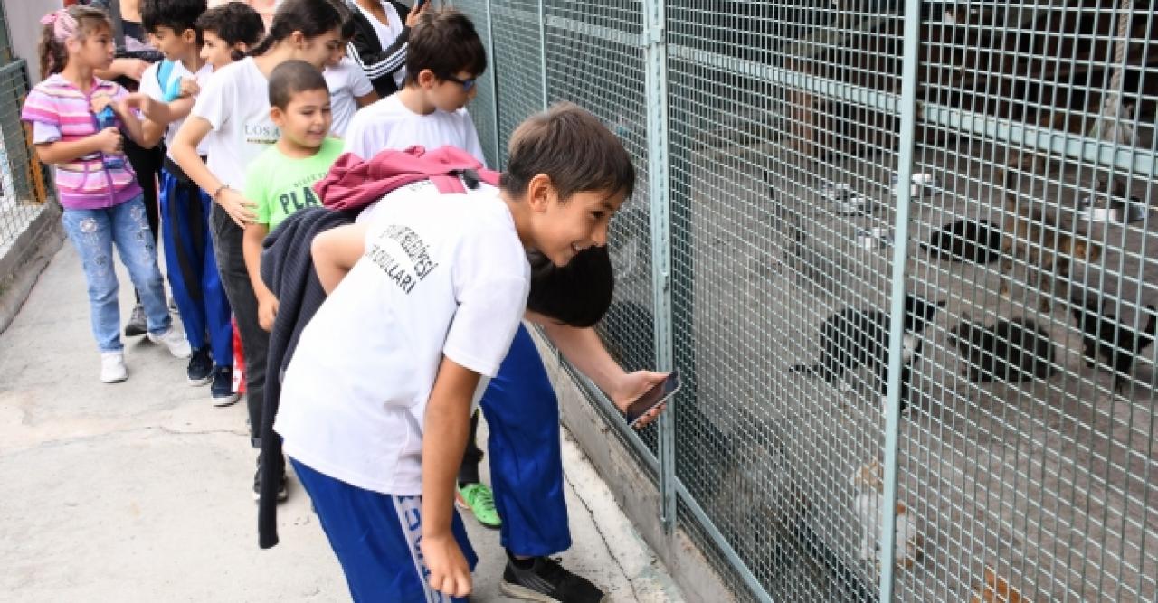 Barınağa ilk defa geldik