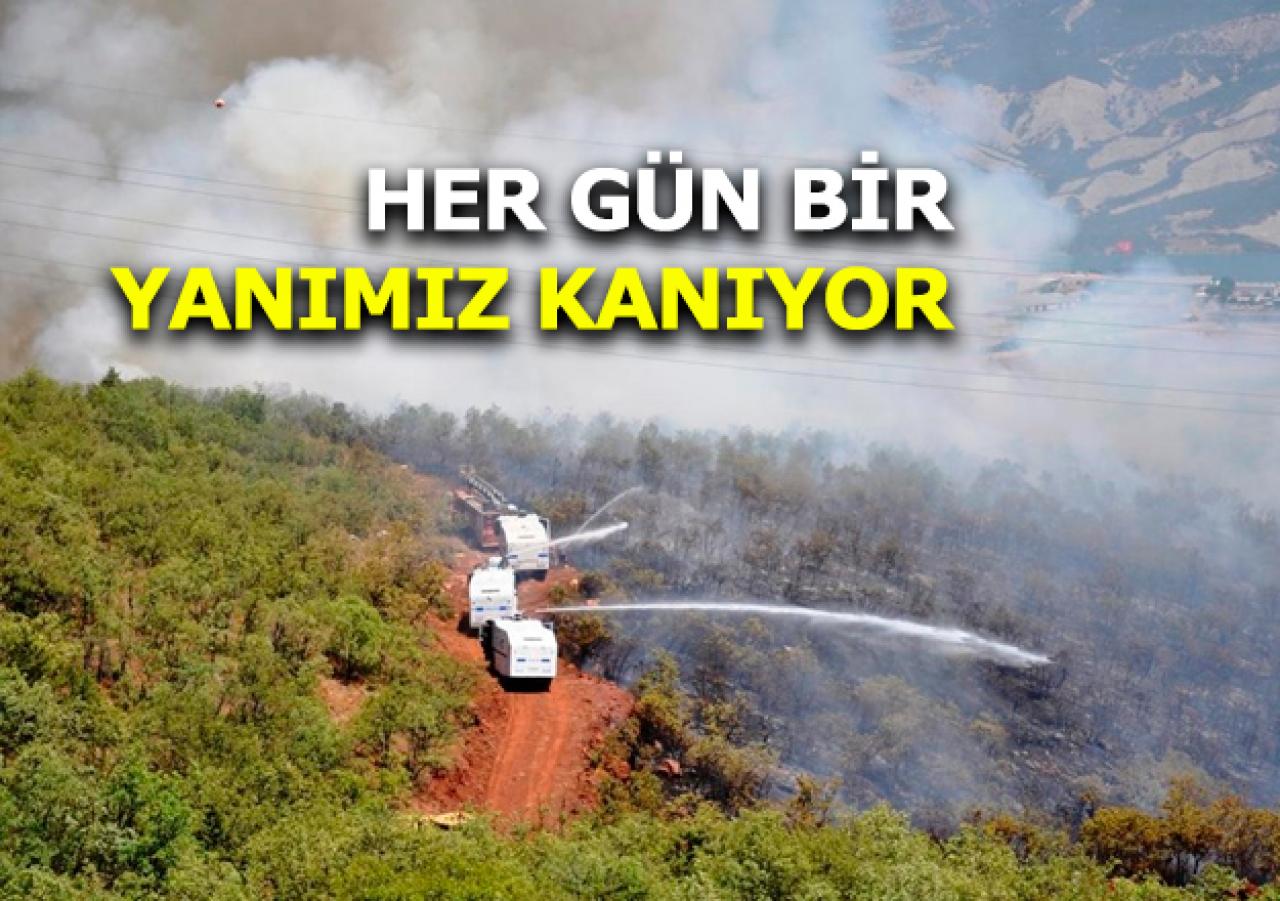 Her gün bir yanımız kanıyor