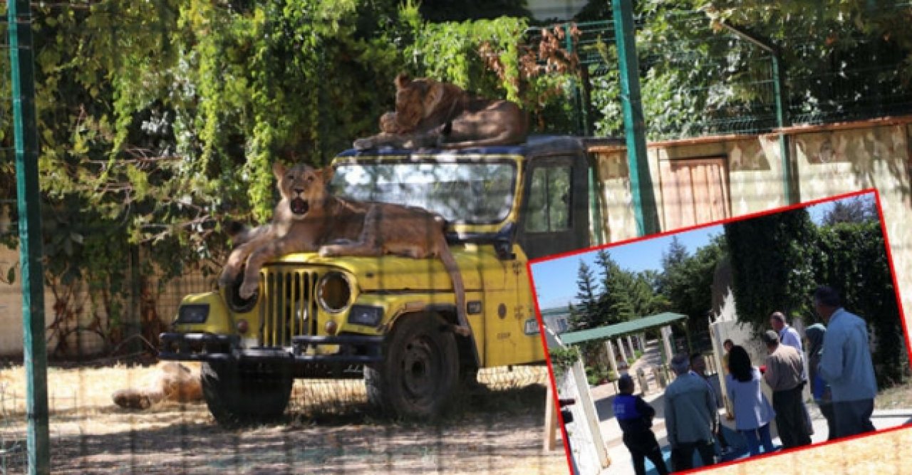 Mahalle arasındaki hayvanat bahçesi mühürlendi