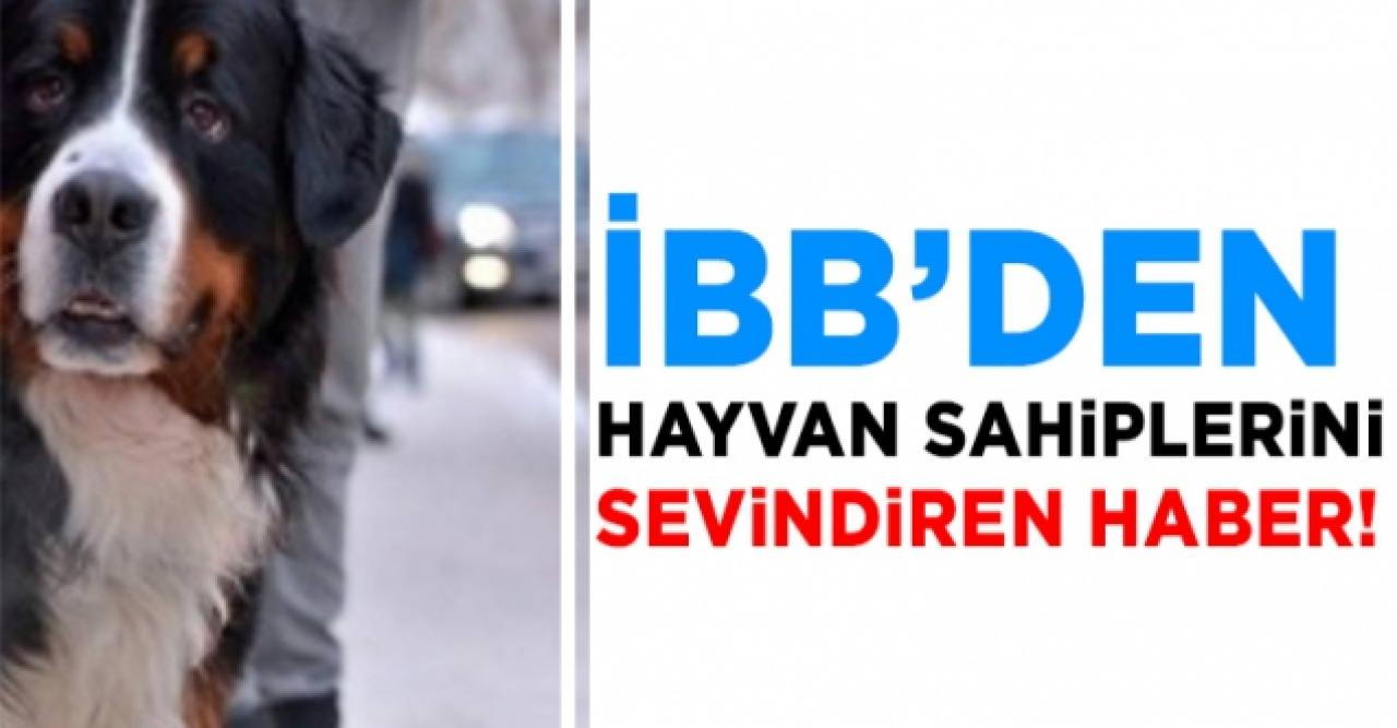 Evcil hayvanlara otobüs izni çıktı