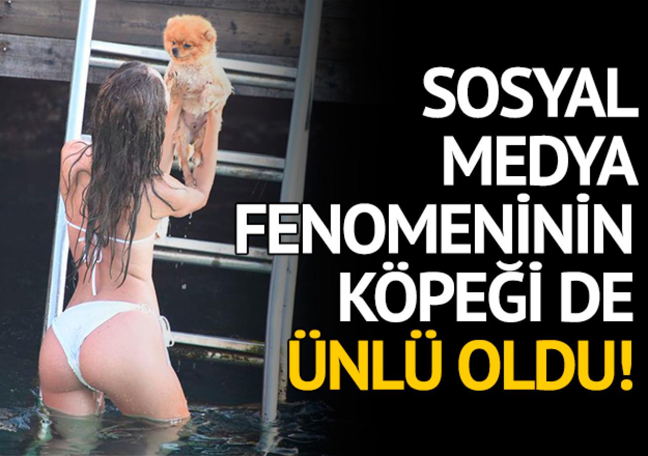 Cansu Taşkın'ın köpeği de fenomen!