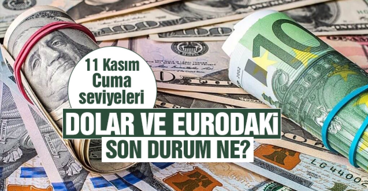 11 Kasım Cuma dolar ve euro güne nasıl başladı? Alış ve satış fiyatları