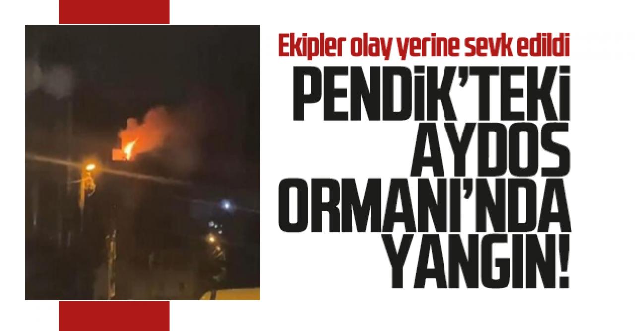 Pendik'teki Aydos Ormanı'nda yangın