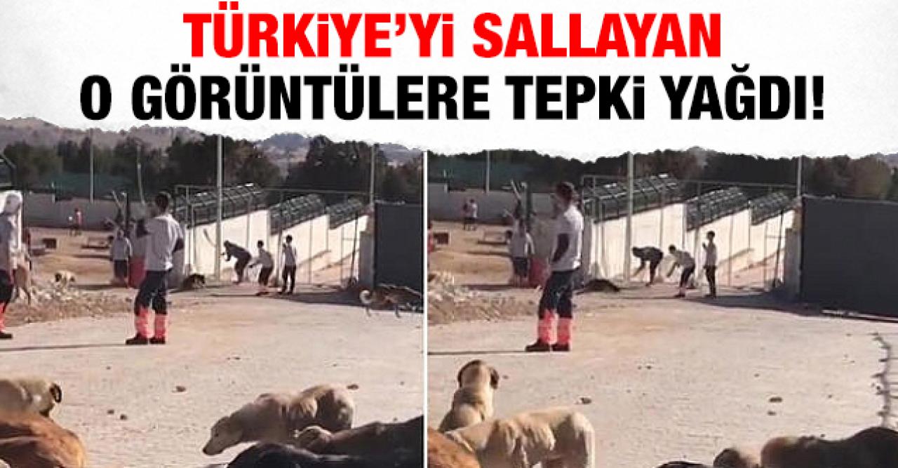 Konya'daki vahşete ünlüler tepki yağdırdı!