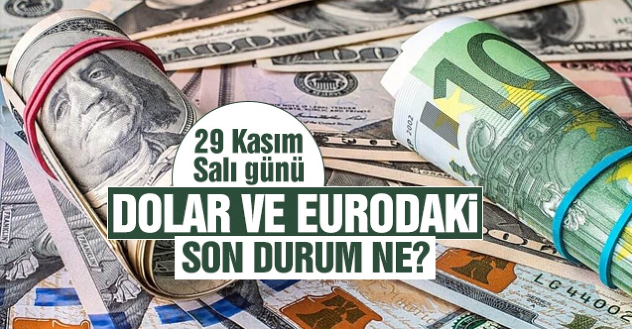 29 Kasım 2022 Salı dolar ve euro ne kadar? Alış ve satış fiyatları