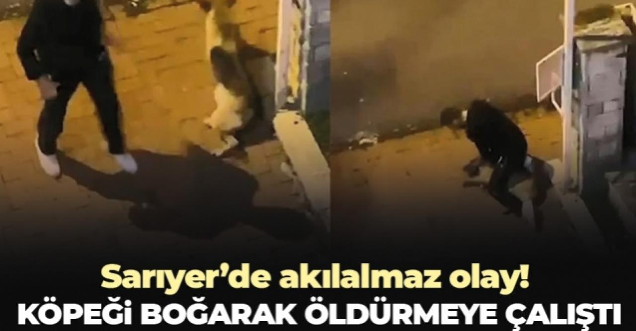 Sarıyer'de köpeği boğmaya çalışan kişi tutuklandı