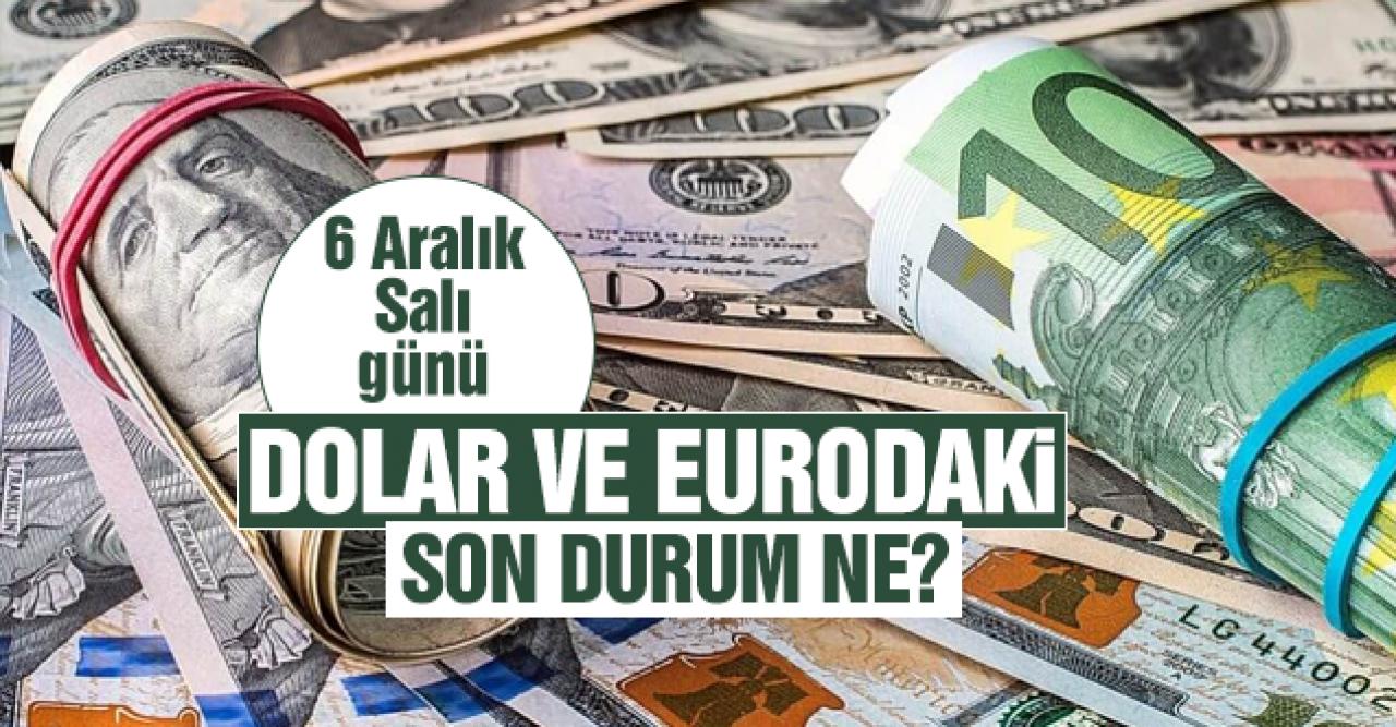 6 Aralık 2022 Salı dolar ve euro kaç lira? Alış ve satış fiyatları