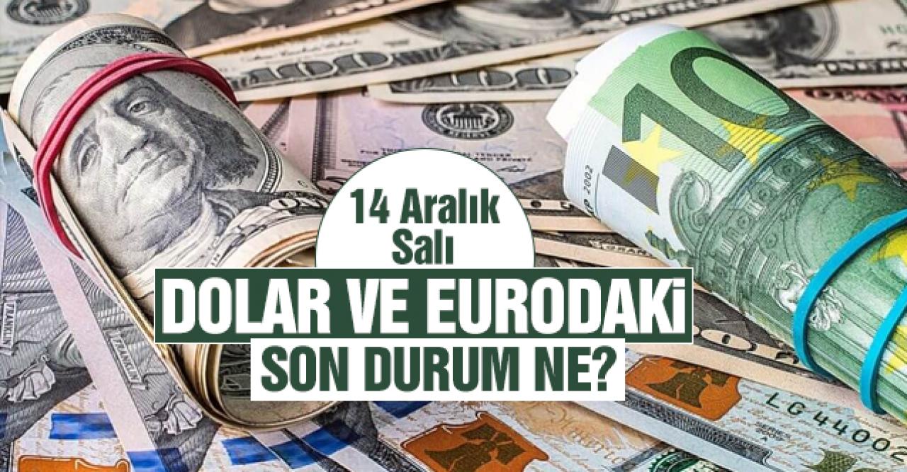 14 Aralık 2022 Saı dolar ve euro kaç lira? Döviz kuru alış ve satış fiyatları