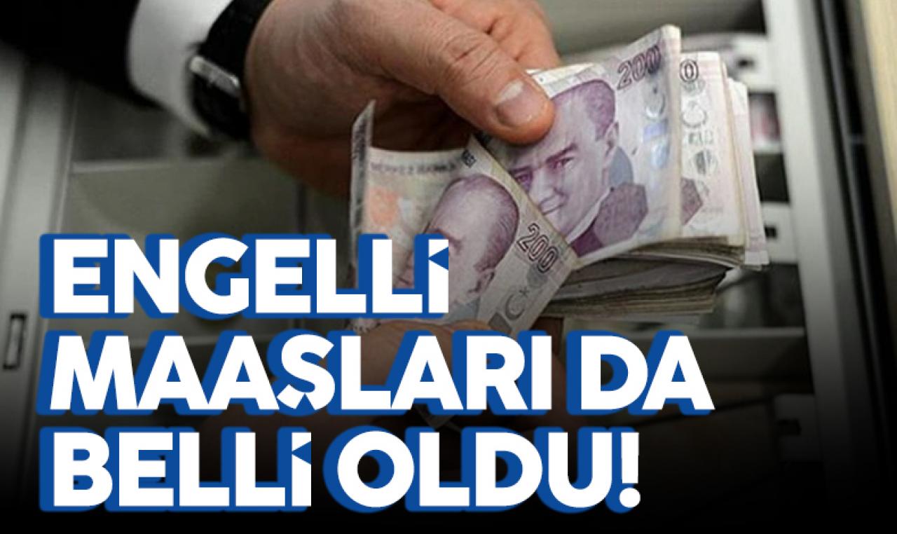 2023 engelli maaşları belli oldu! Engelliler ne kadar alacak