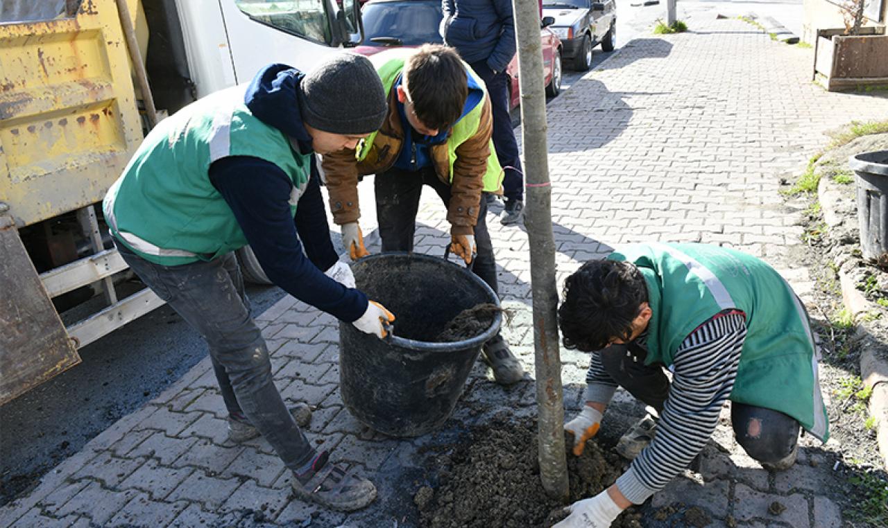 Trafiğe yeşil çözüm