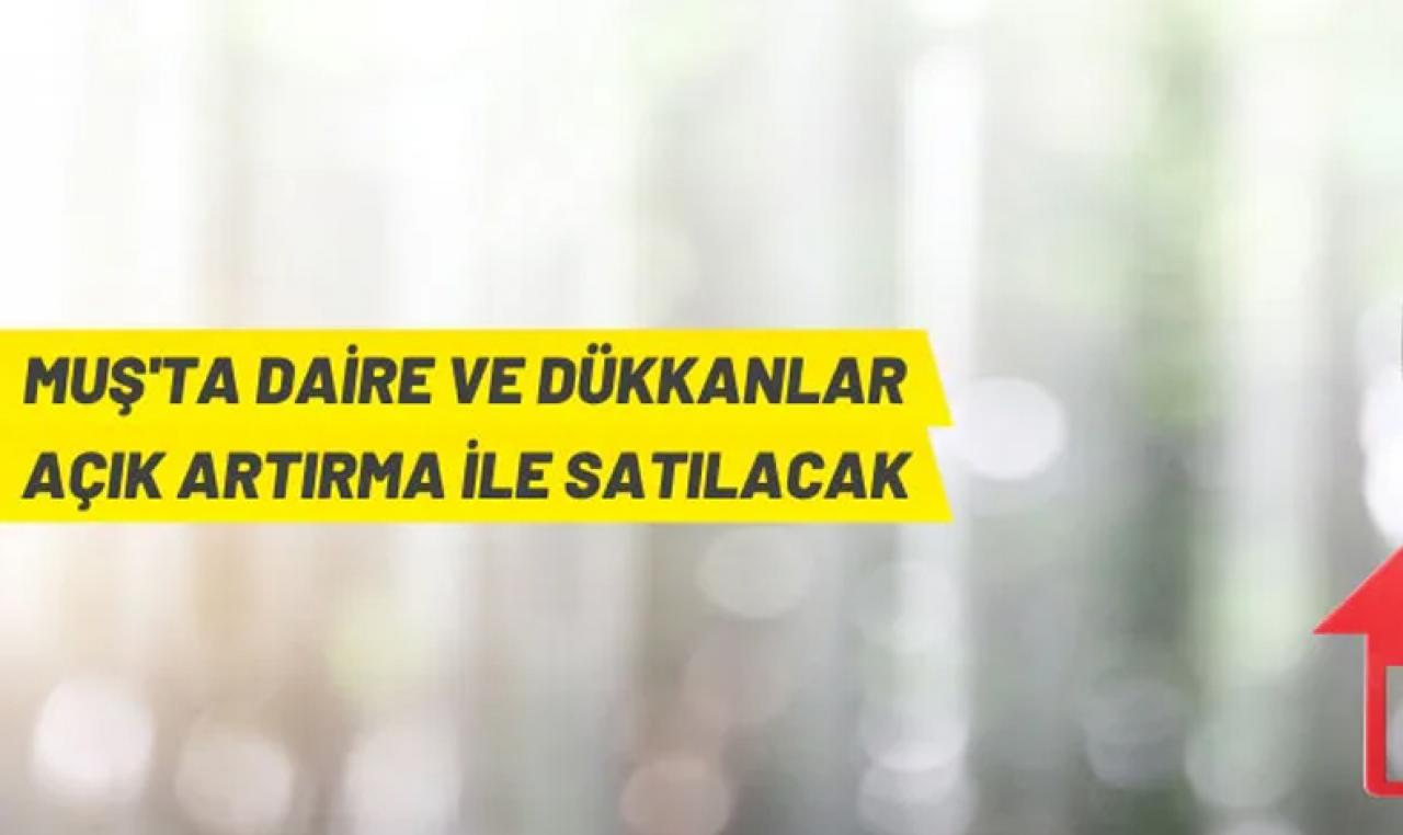 Muş'ta daire ve dükkanlar ihaleyle satılacak