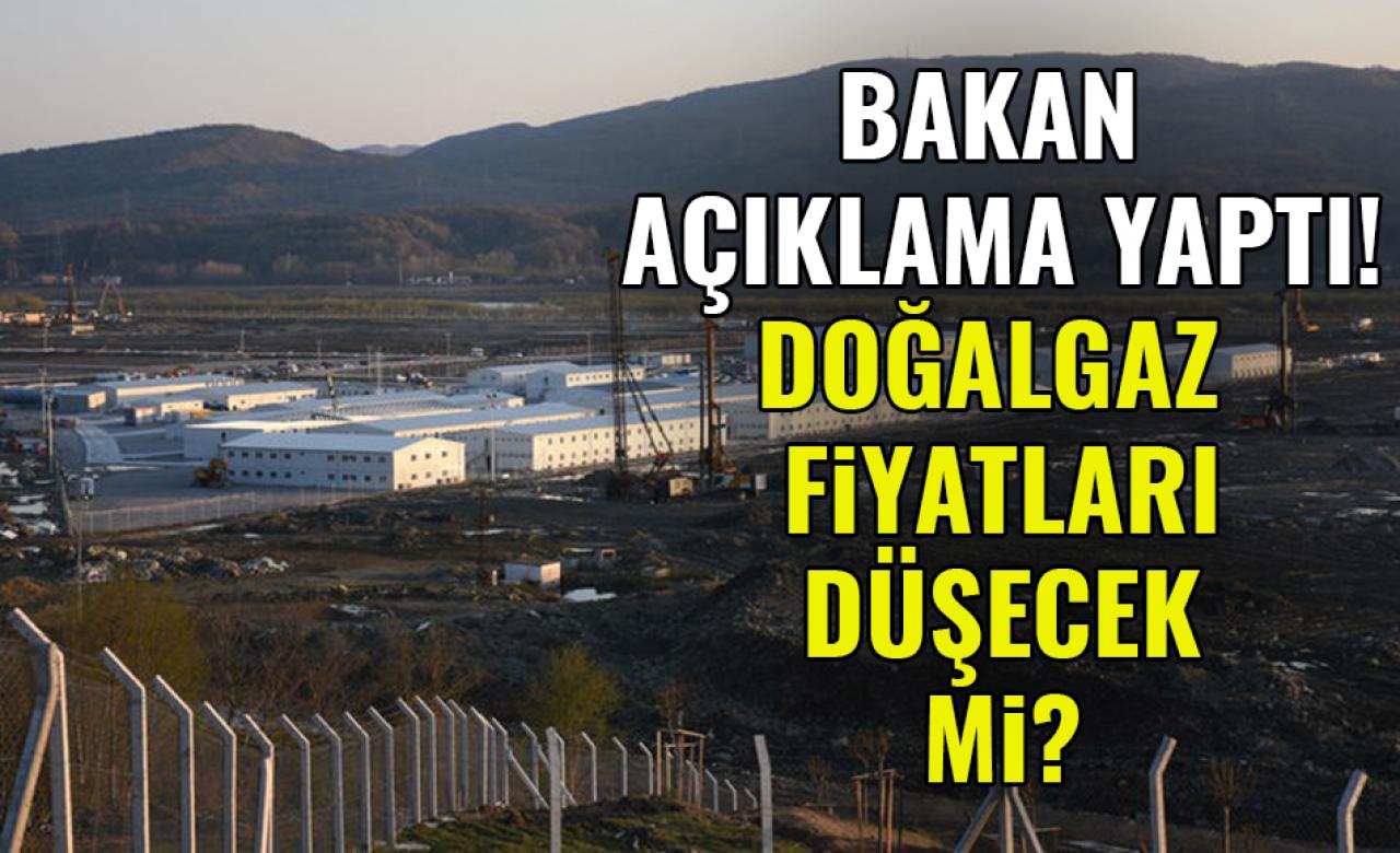 Bakan açıklama yaptı, doğalgaz fiyatları düşecek mi?