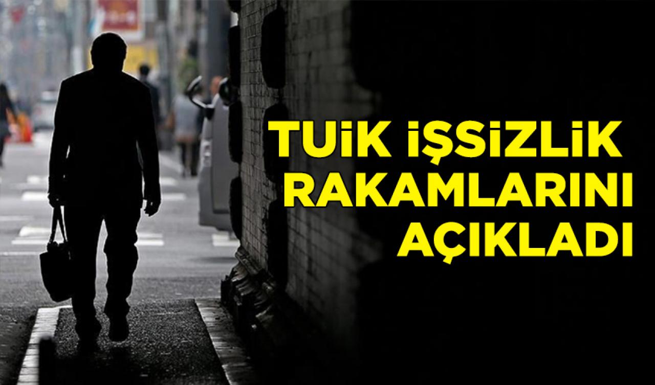 TÜİK işsizlik rakamlarını açıkladı