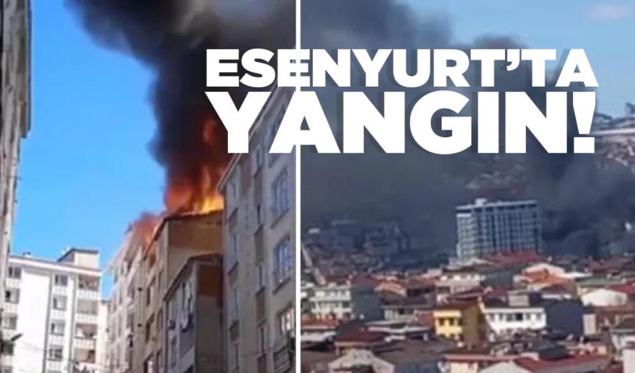 Son dakika haberi.. Esenyurt'ta yangın! Yangın nerede hangi mahallede