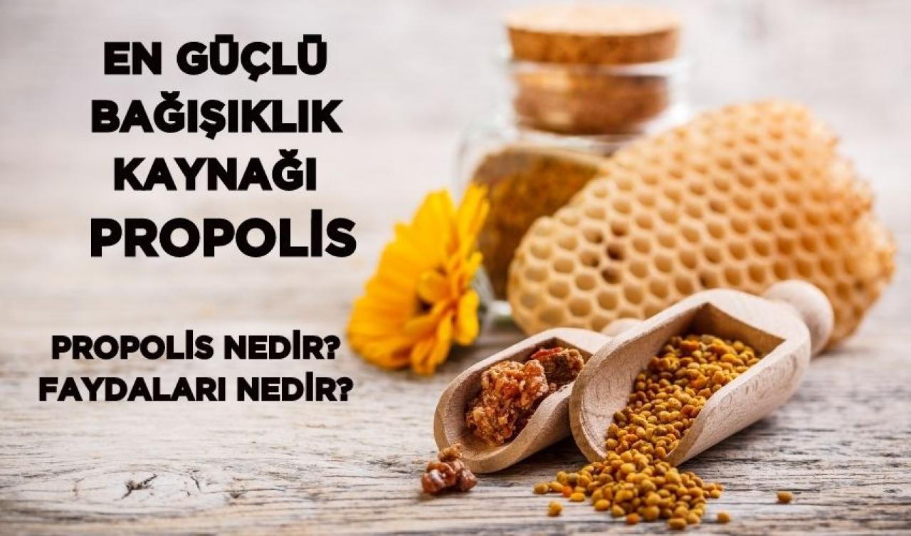 En Güçlü Bağışıklık Kaynağı: Propolis