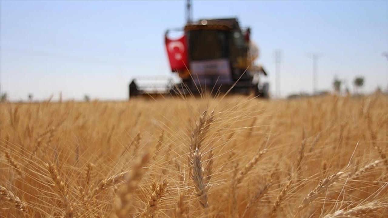 Tarımsal üretimin planlanması verimliliği artıracak