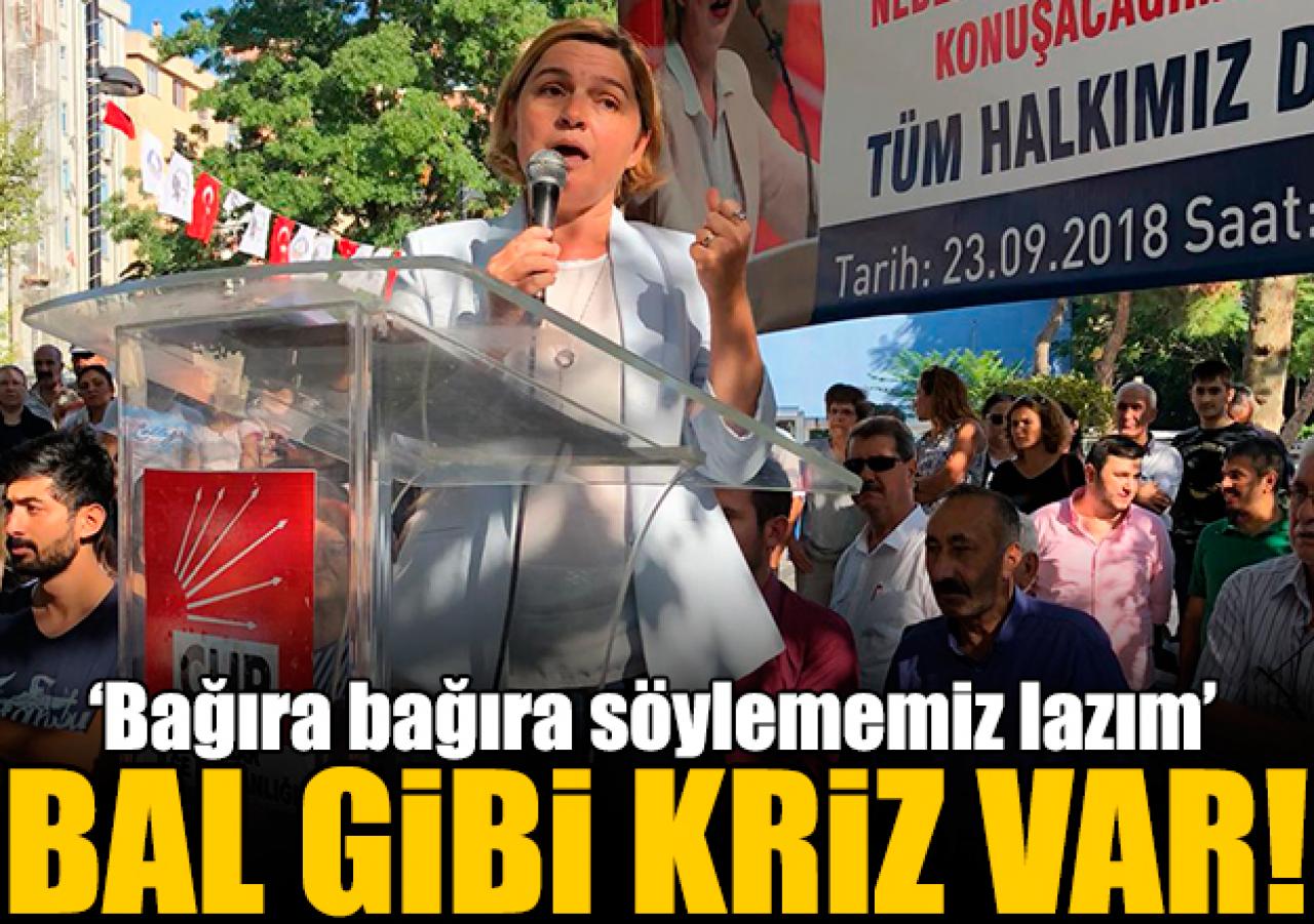 Bal gibi kriz var