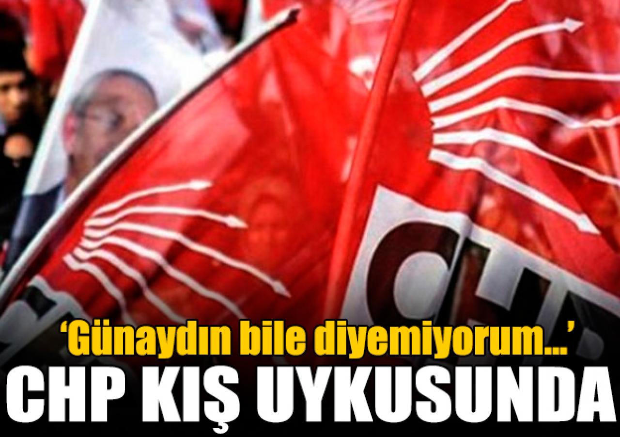 CHP kış uykusunda