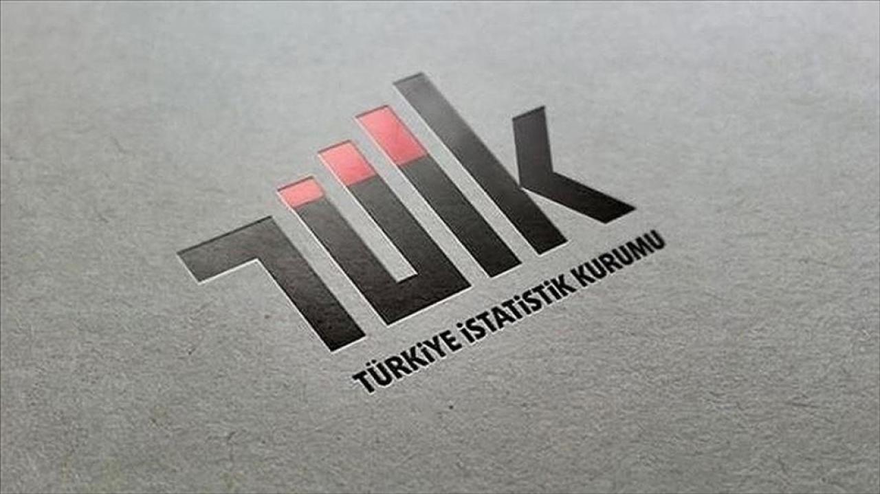 TÜİK'e göre Türkiye'ye göç edenlerin sayısı 2020'de azaldı